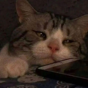 Meet your Posher, Elora